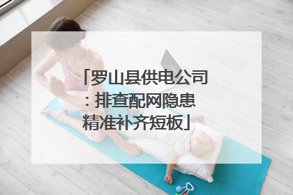 罗山县供电公司：排查配网隐患 精准补齐短板