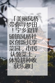 美丽凤桥带你寻梦田！宁乡夏铎铺镇凤桥社区创新共享菜园，市民认领菜土，体验耕种收获乐趣