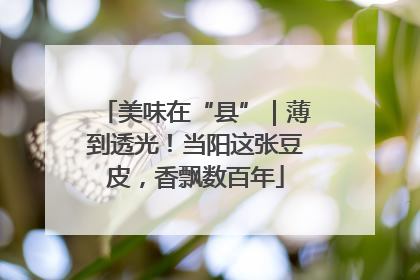 美味在“县”｜薄到透光！当阳这张豆皮，香飘数百年