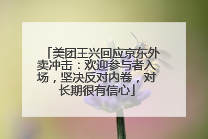 美团王兴回应京东外卖冲击：欢迎参与者入场，坚决反对内卷，对长期很有信心