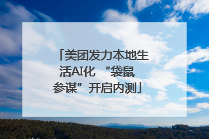 美团发力本地生活AI化 “袋鼠参谋”开启内测