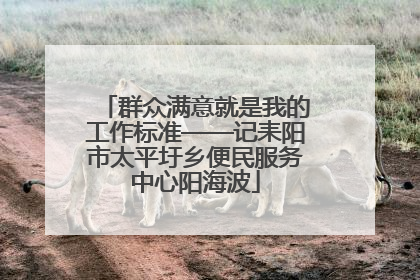 群众满意就是我的工作标准——记耒阳市太平圩乡便民服务中心阳海波
