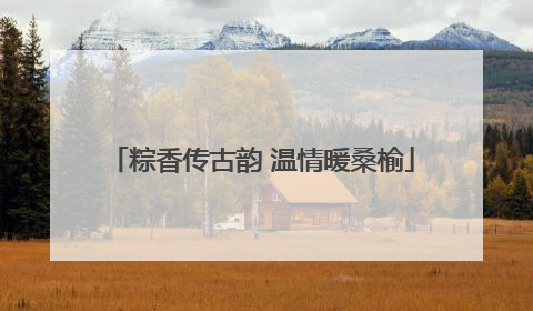 粽香传古韵 温情暖桑榆