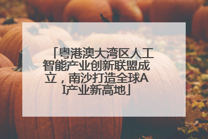 粤港澳大湾区人工智能产业创新联盟成立，南沙打造全球AI产业新高地