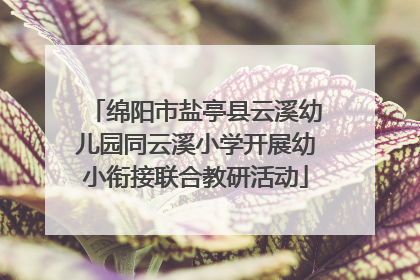 绵阳市盐亭县云溪幼儿园同云溪小学开展幼小衔接联合教研活动
