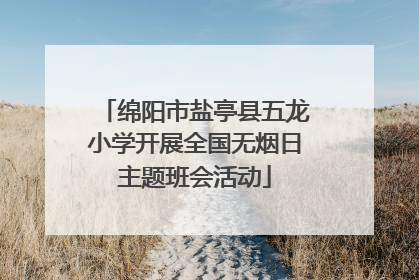 绵阳市盐亭县五龙小学开展全国无烟日主题班会活动