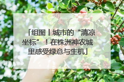组图丨城市的“清凉坐标”！在株洲神农城里感受绿意与生机