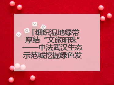 细织湿地绿带 厚结“文旅明珠”——中法武汉生态示范城挖掘绿色发展新动能