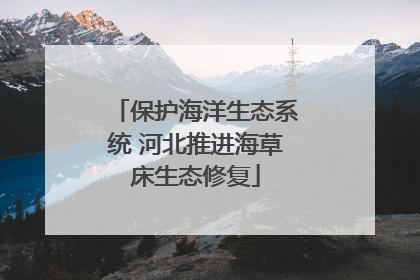 保护海洋生态系统 河北推进海草床生态修复