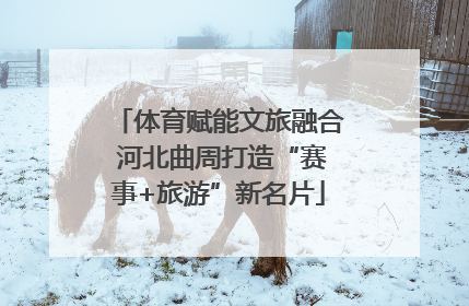 体育赋能文旅融合 河北曲周打造“赛事+旅游”新名片