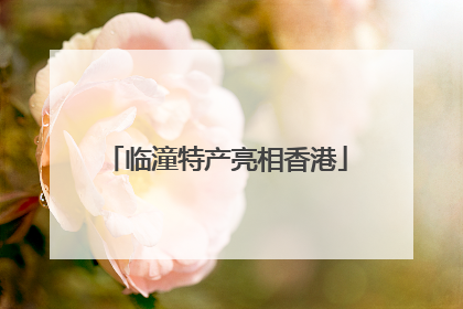 临潼特产亮相香港