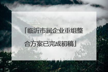 临沂市属企业重组整合方案已完成初稿