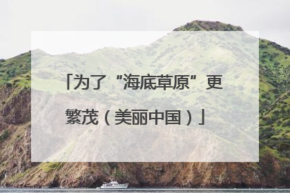 为了“海底草原”更繁茂（美丽中国）