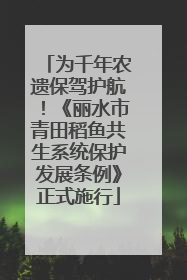 为千年农遗保驾护航！《丽水市青田稻鱼共生系统保护发展条例》正式施行