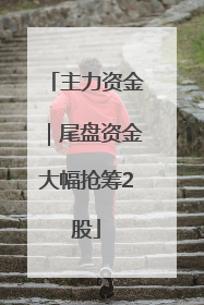 主力资金｜尾盘资金大幅抢筹2股