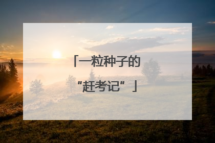 一粒种子的“赶考记”