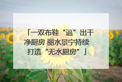 一双布鞋“逼”出干净厨房 丽水景宁持续打造“无水厨房”