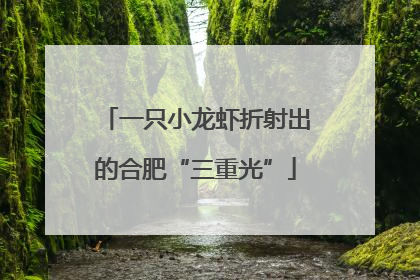 一只小龙虾折射出的合肥“三重光”