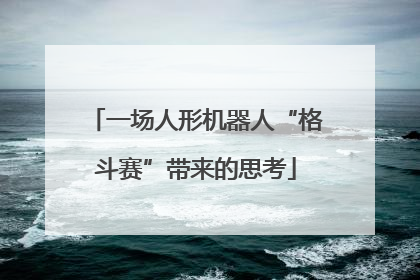 一场人形机器人“格斗赛”带来的思考