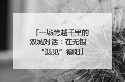 一场跨越千里的双城对话：在无锡“遇见”德阳