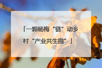一颗杨梅“链”动乡村“产业共生圈”