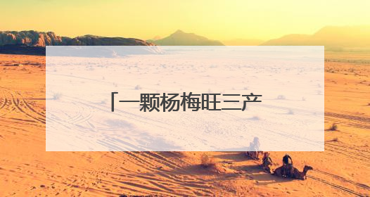 一颗杨梅旺三产，钟祥长滩四季采摘带给游客“舌尖上的惊喜”
