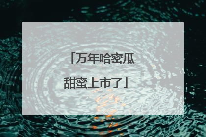 万年哈密瓜甜蜜上市了