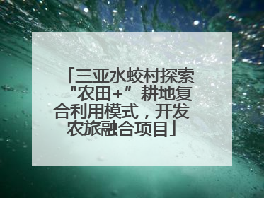 三亚水蛟村探索“农田+”耕地复合利用模式，开发农旅融合项目