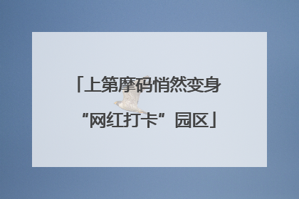 上第摩码悄然变身“网红打卡”园区
