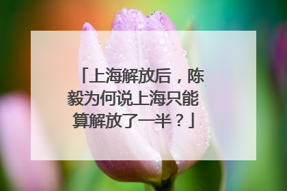 上海解放后，陈毅为何说上海只能算解放了一半？