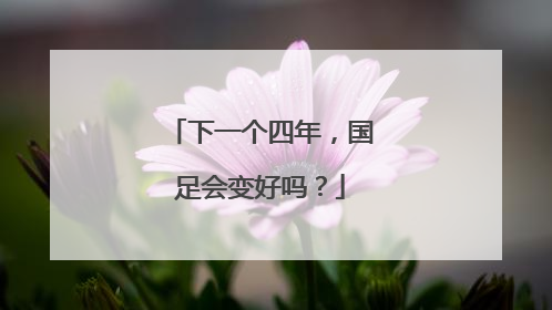 下一个四年，国足会变好吗？