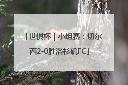 世俱杯｜小组赛：切尔西2-0胜洛杉矶FC