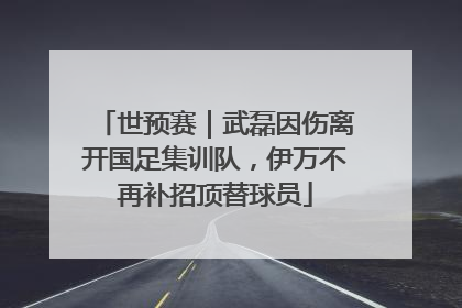 世预赛｜武磊因伤离开国足集训队，伊万不再补招顶替球员