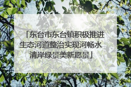 东台市东台镇积极推进生态河道整治实现河畅水清岸绿景美新愿景