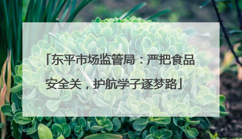 东平市场监管局：严把食品安全关，护航学子逐梦路