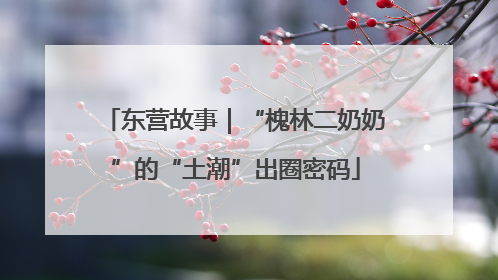 东营故事｜“槐林二奶奶”的“土潮”出圈密码