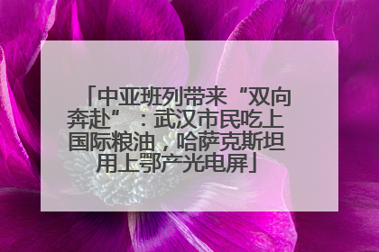 中亚班列带来“双向奔赴”：武汉市民吃上国际粮油，哈萨克斯坦用上鄂产光电屏