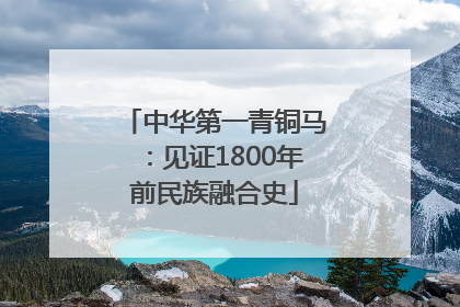 中华第一青铜马：见证1800年前民族融合史