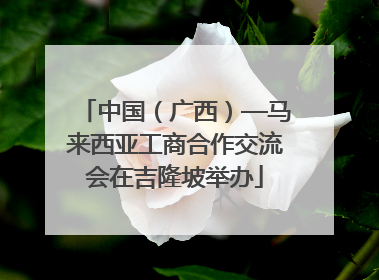 中国（广西）—马来西亚工商合作交流会在吉隆坡举办