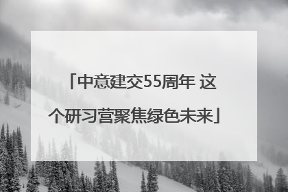 中意建交55周年 这个研习营聚焦绿色未来