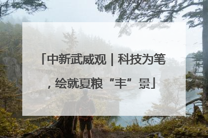 中新武威观｜科技为笔，绘就夏粮“丰”景