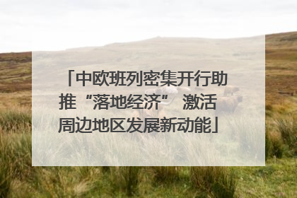 中欧班列密集开行助推“落地经济” 激活周边地区发展新动能