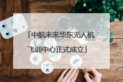 中航未来华东无人机飞训中心正式成立