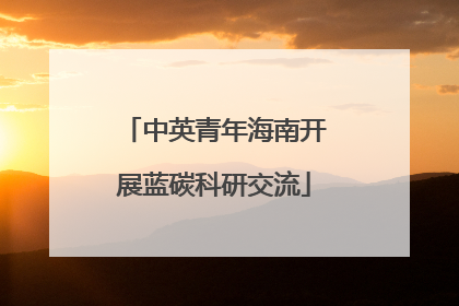 中英青年海南开展蓝碳科研交流