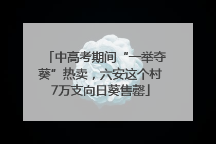 中高考期间“一举夺葵”热卖，六安这个村7万支向日葵售罄
