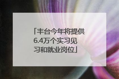 丰台今年将提供6.4万个实习见习和就业岗位