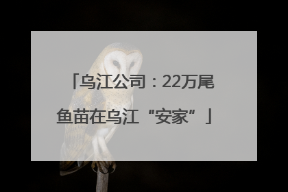乌江公司：22万尾鱼苗在乌江“安家”