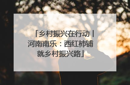 乡村振兴在行动丨河南南乐：西红柿铺就乡村振兴路