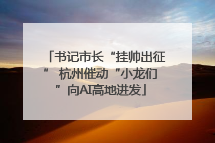 书记市长“挂帅出征” 杭州催动“小龙们”向AI高地进发