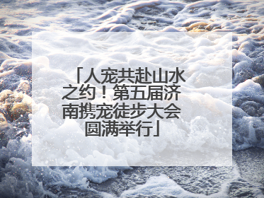人宠共赴山水之约！第五届济南携宠徒步大会圆满举行